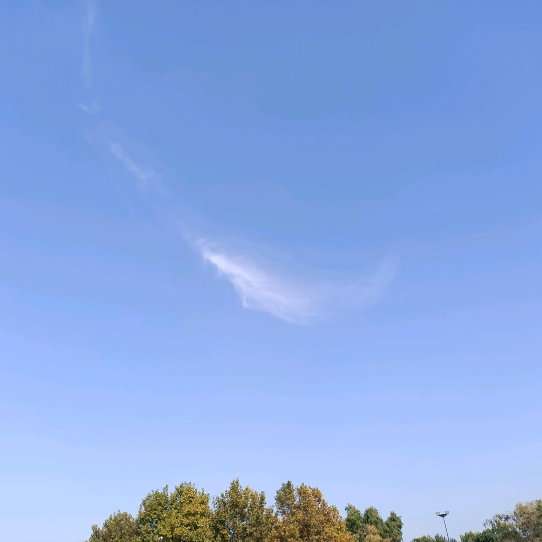 自由飞翔√