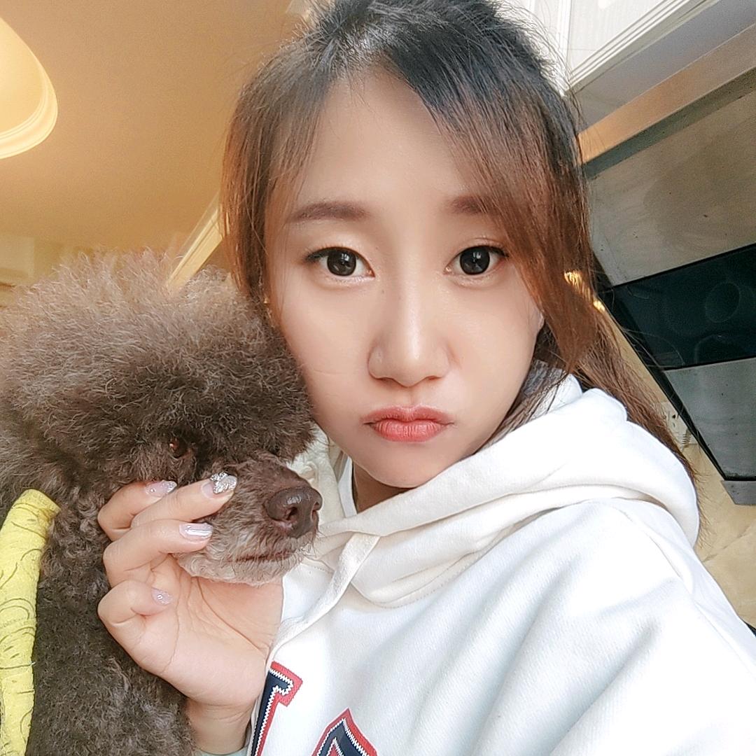 河津市小岛家宠物店