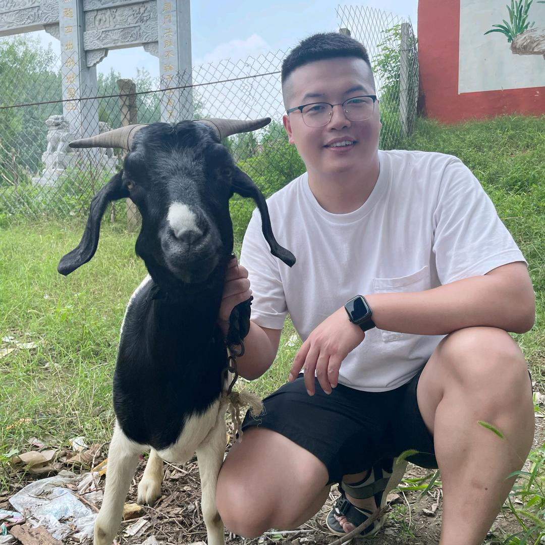 王鹏牛羊分享