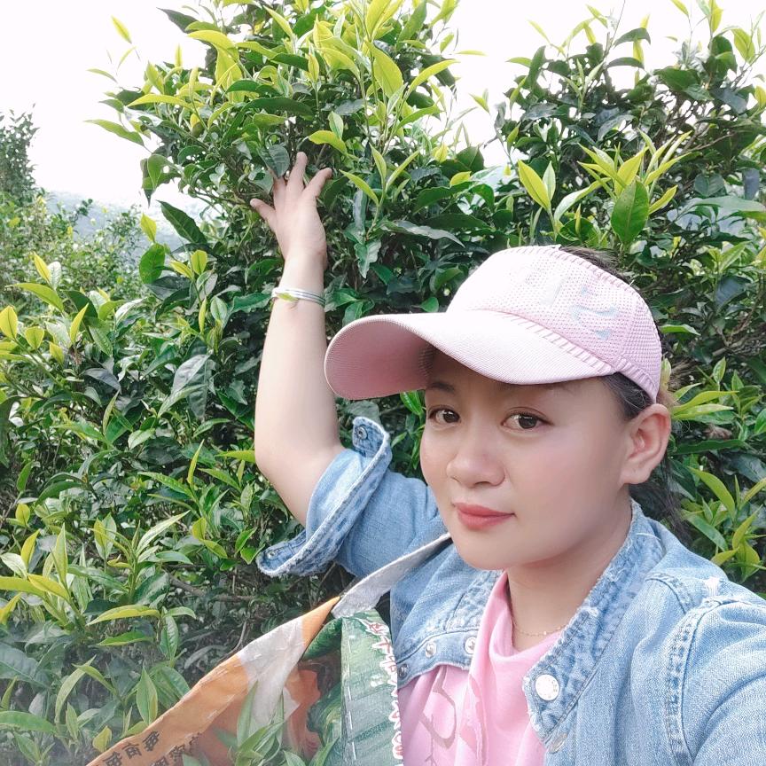 福茶源