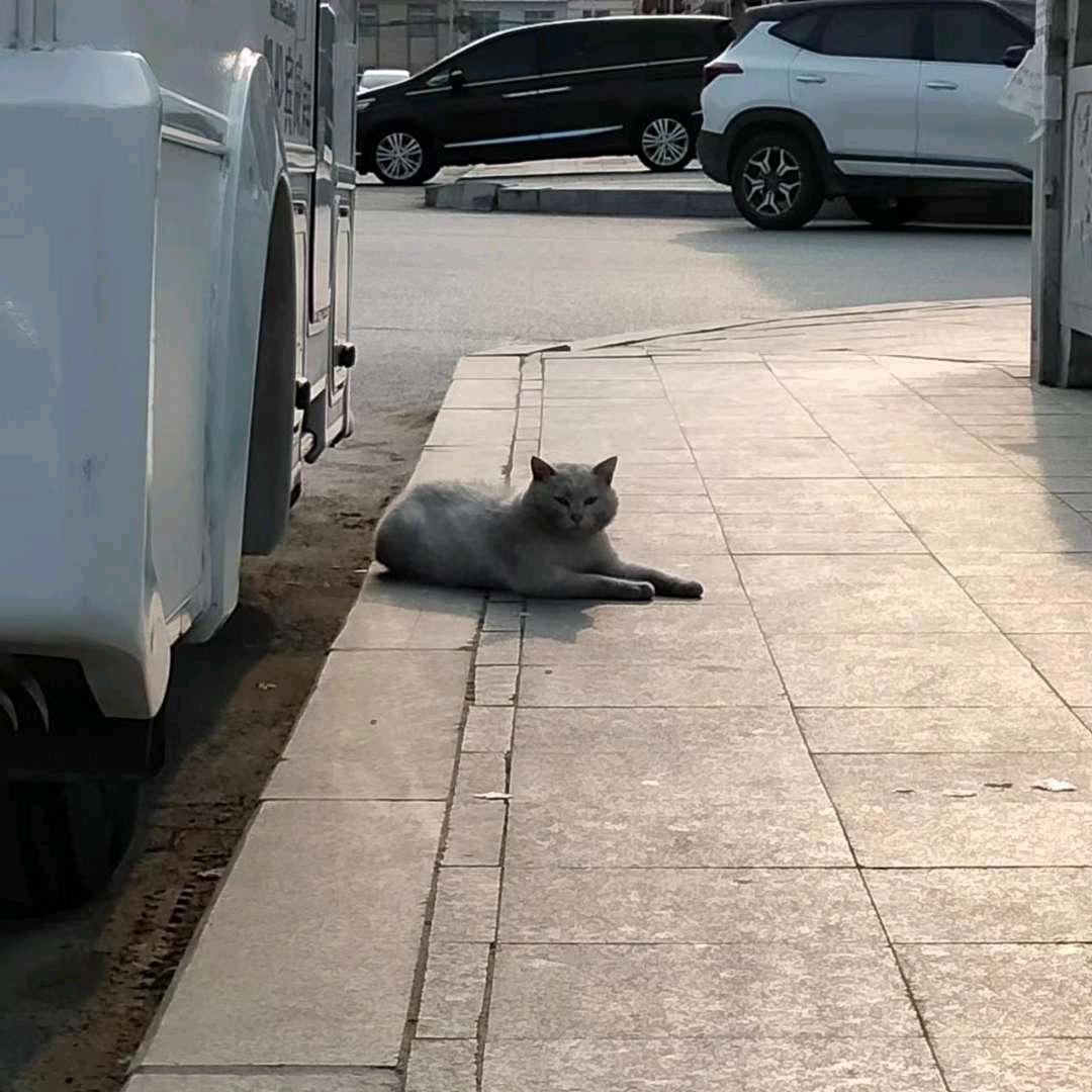 不知名网友花🌸