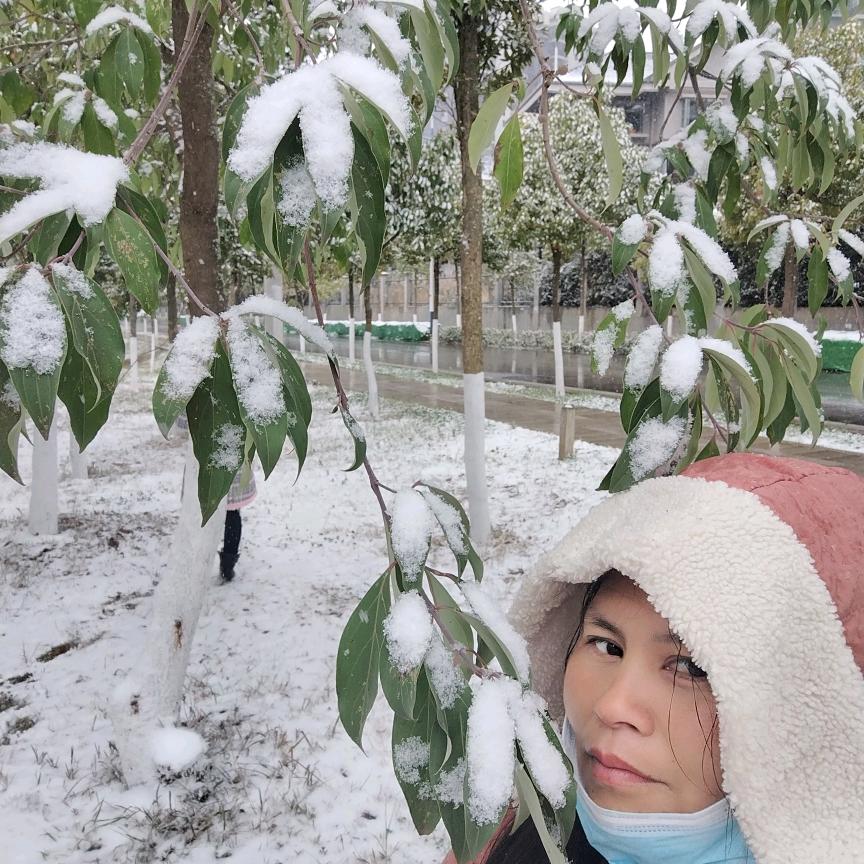 无敌战神金刚芭比暴龙战士