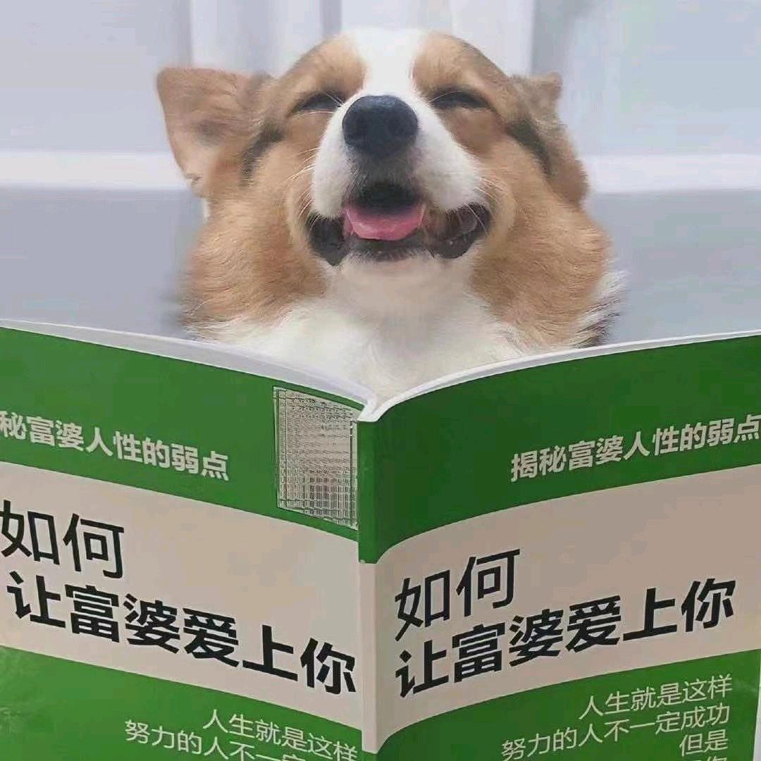 软饭硬吃老司机