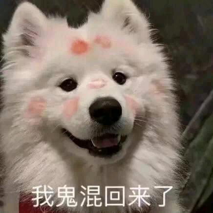 七月的天空