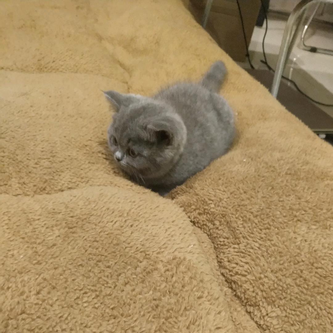 迷雾