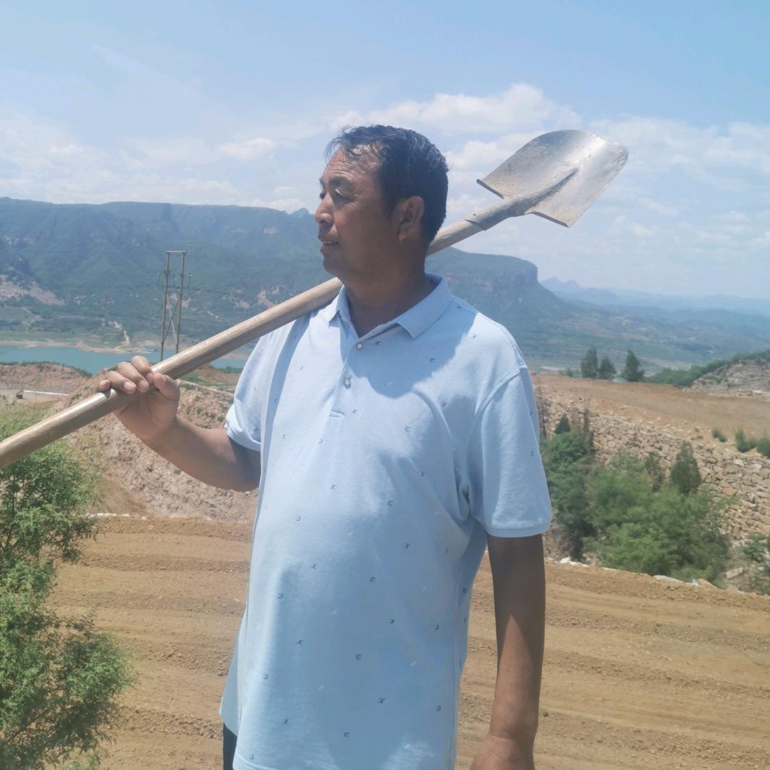 朱庄酸枣仁基地 酸枣面