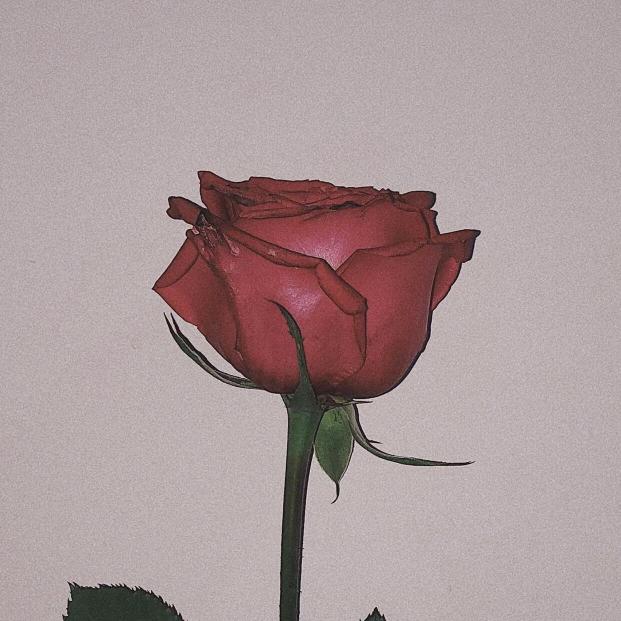 醉尽长梦💔
