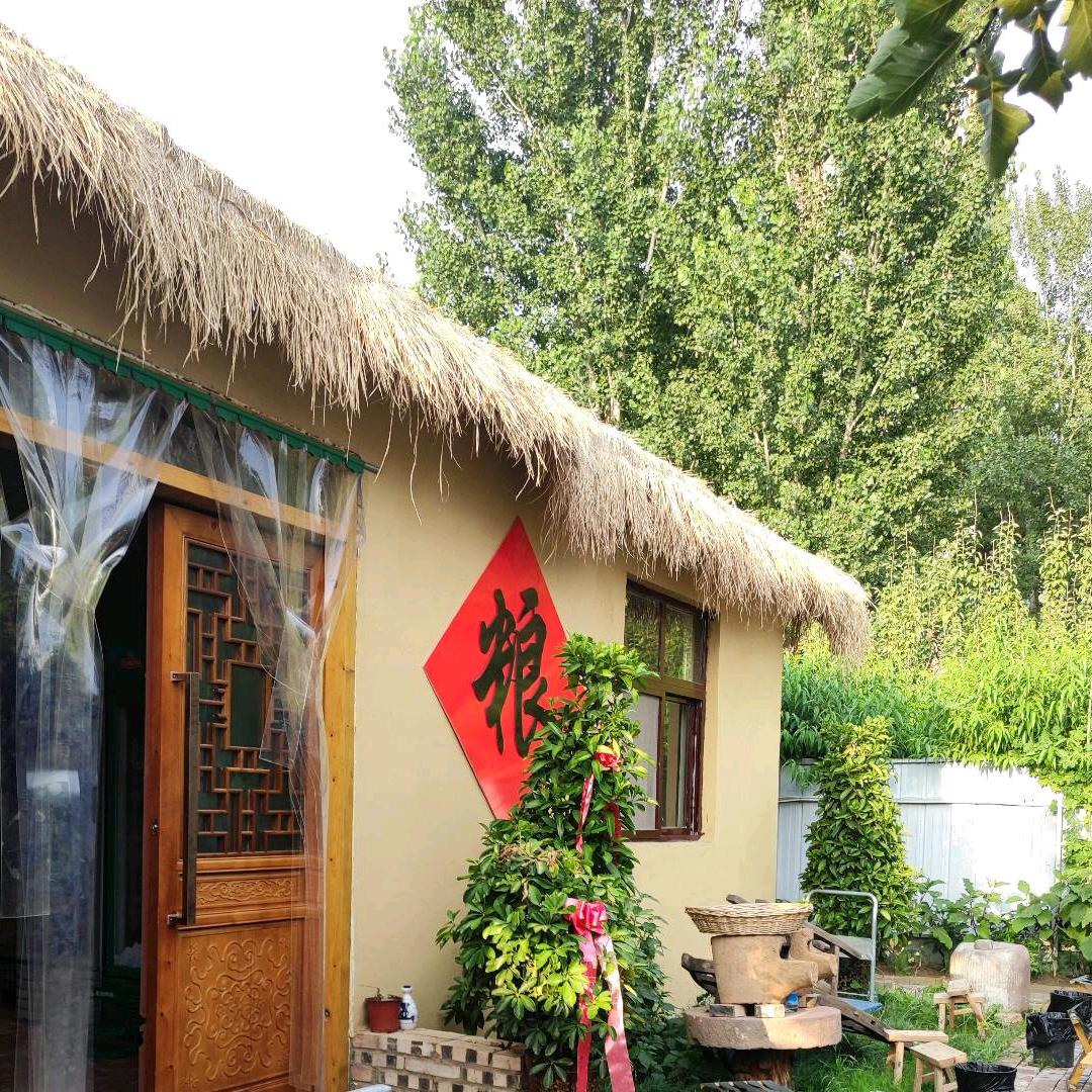 祥符区笨蛋炒笨鸡农家院