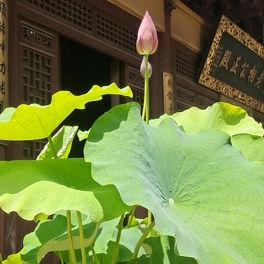 美美生活分享