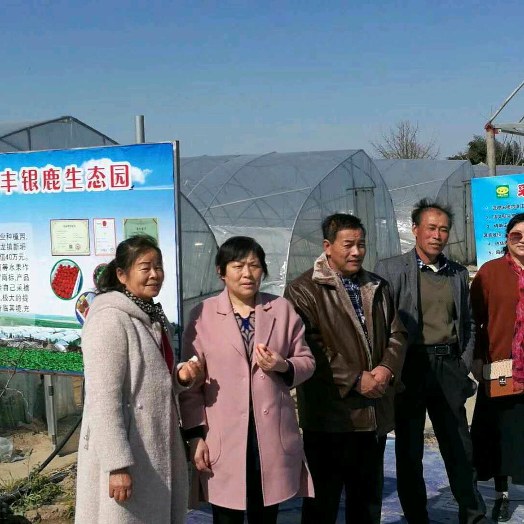 李三