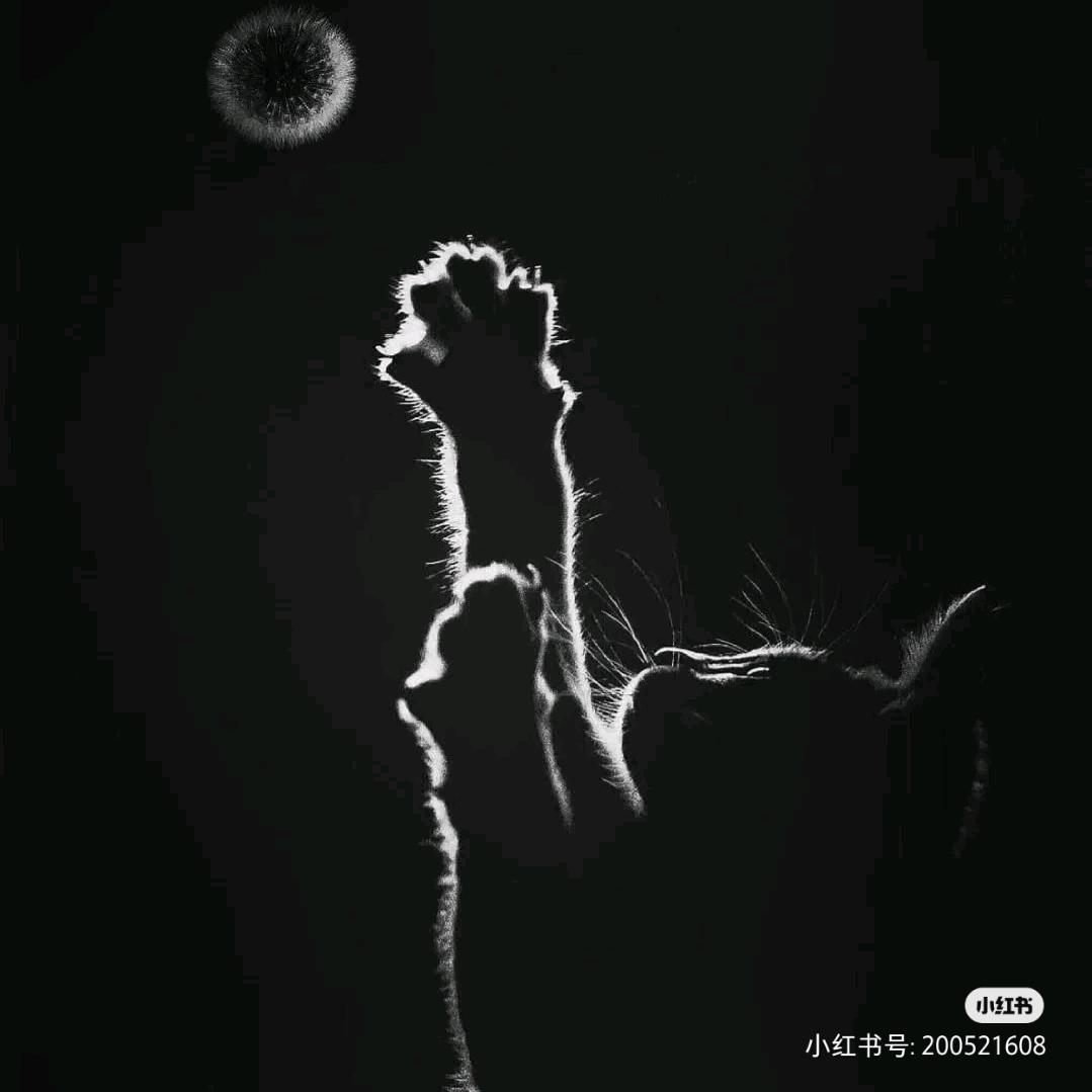 小A