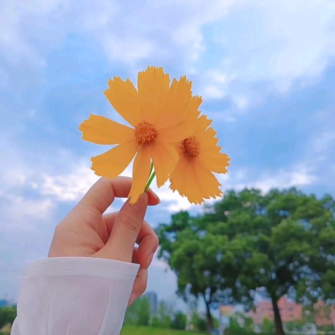 真～