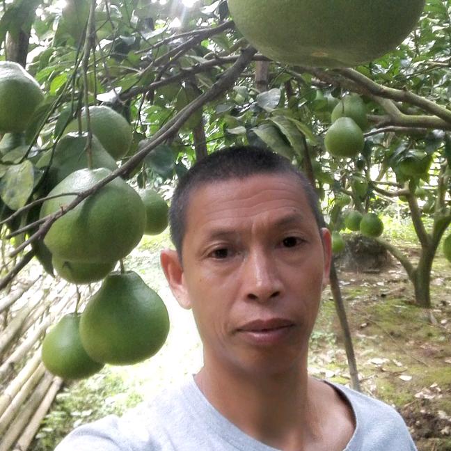 秋哥哥