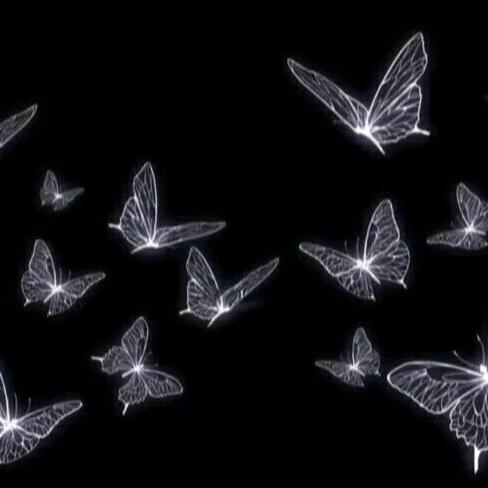 青海牛肉拉面辛集店