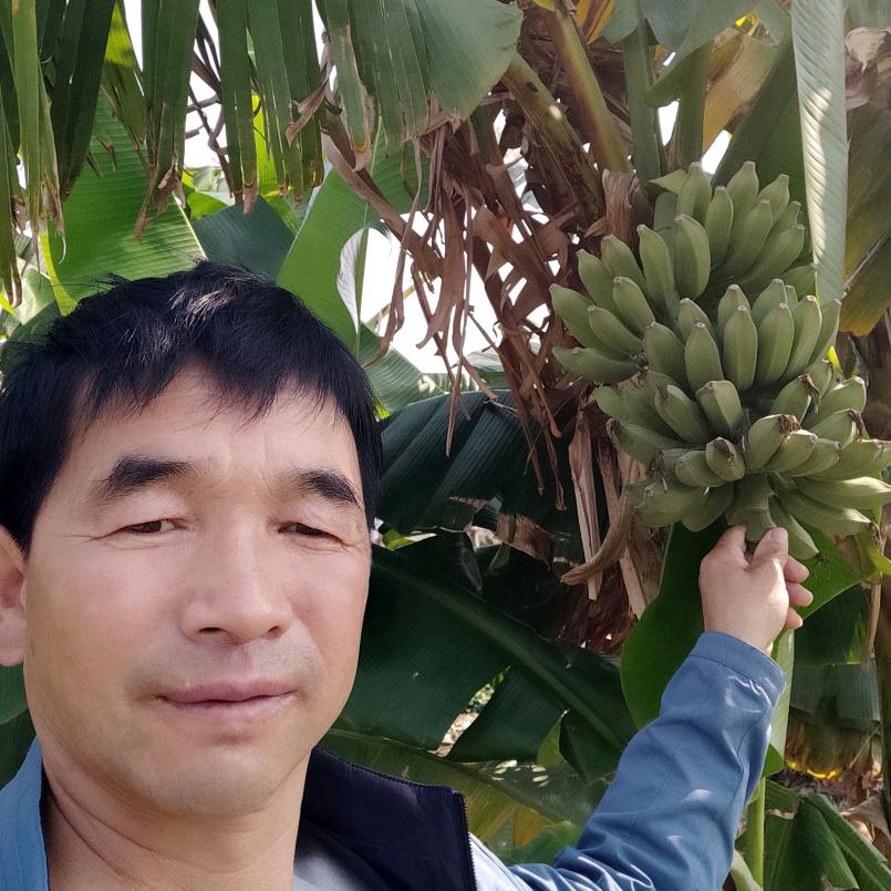 贾武