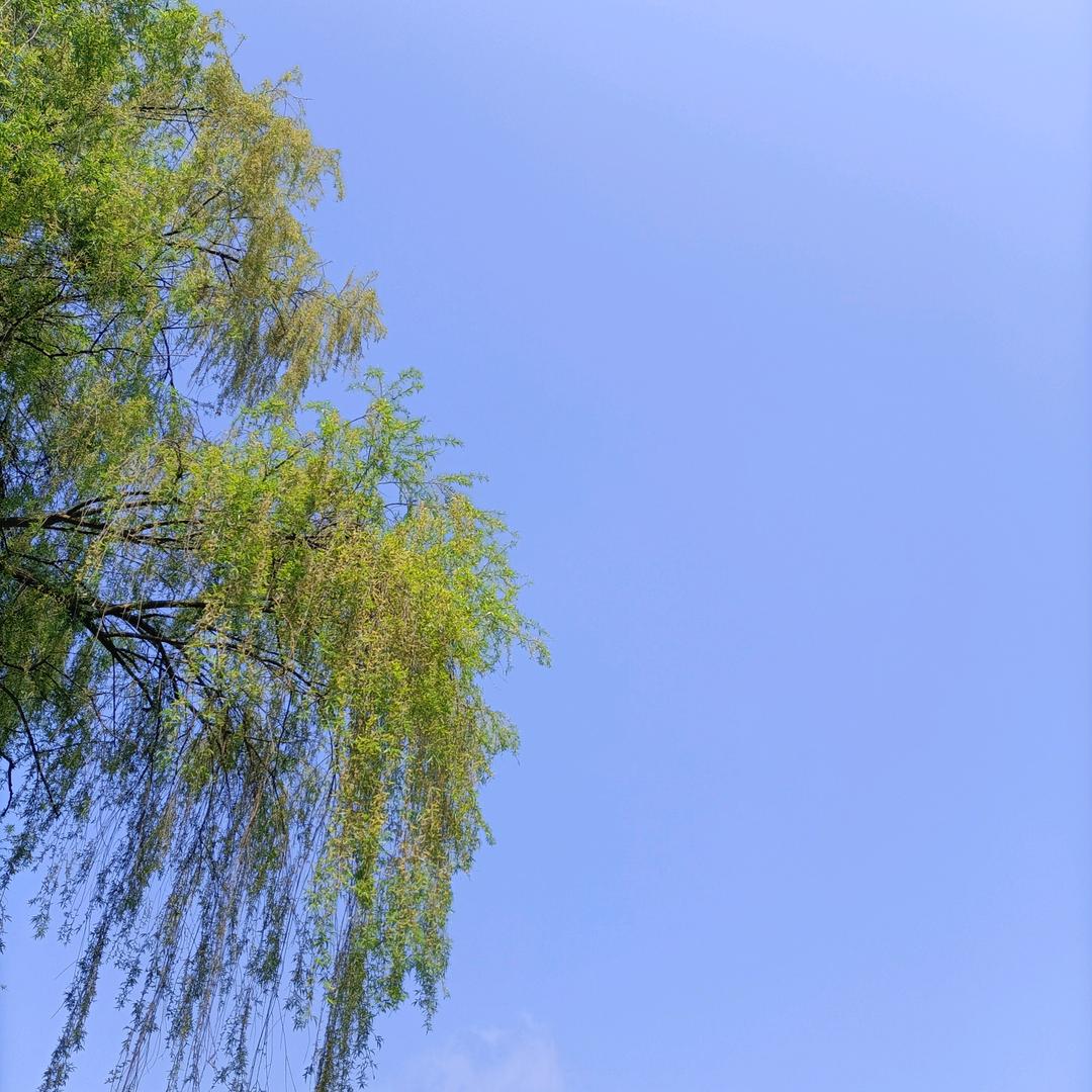 大湾酒楼（前香辣馆）