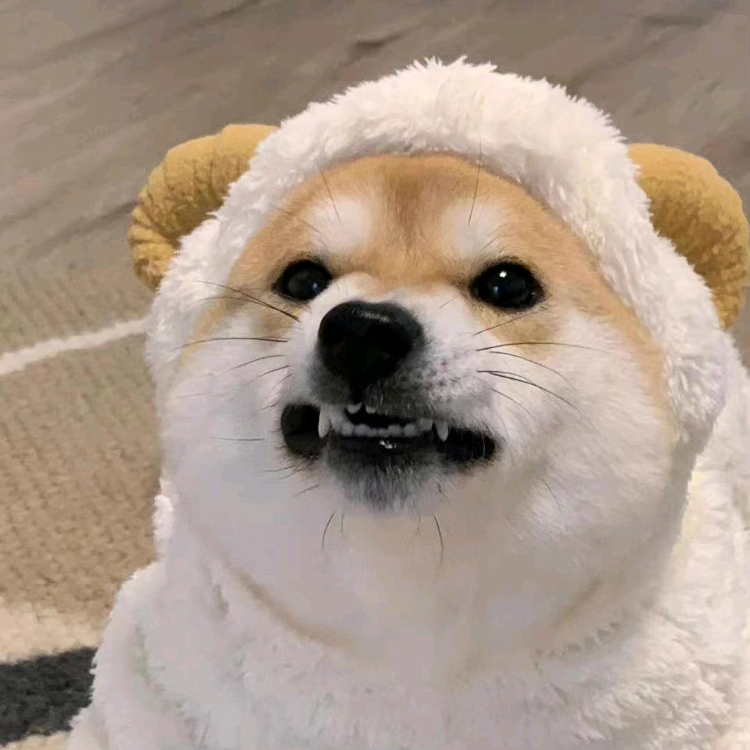 小糖