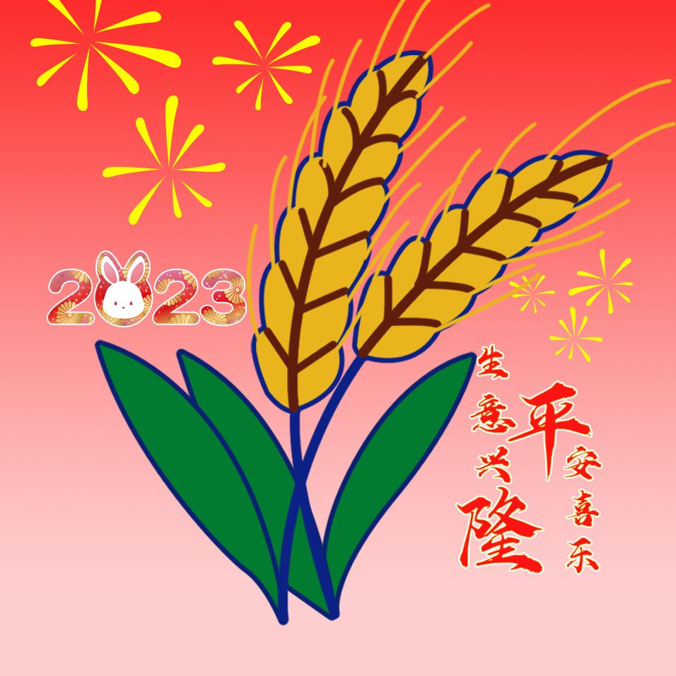 隆平小麦姚昌顺