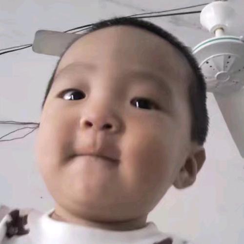 小飞虎