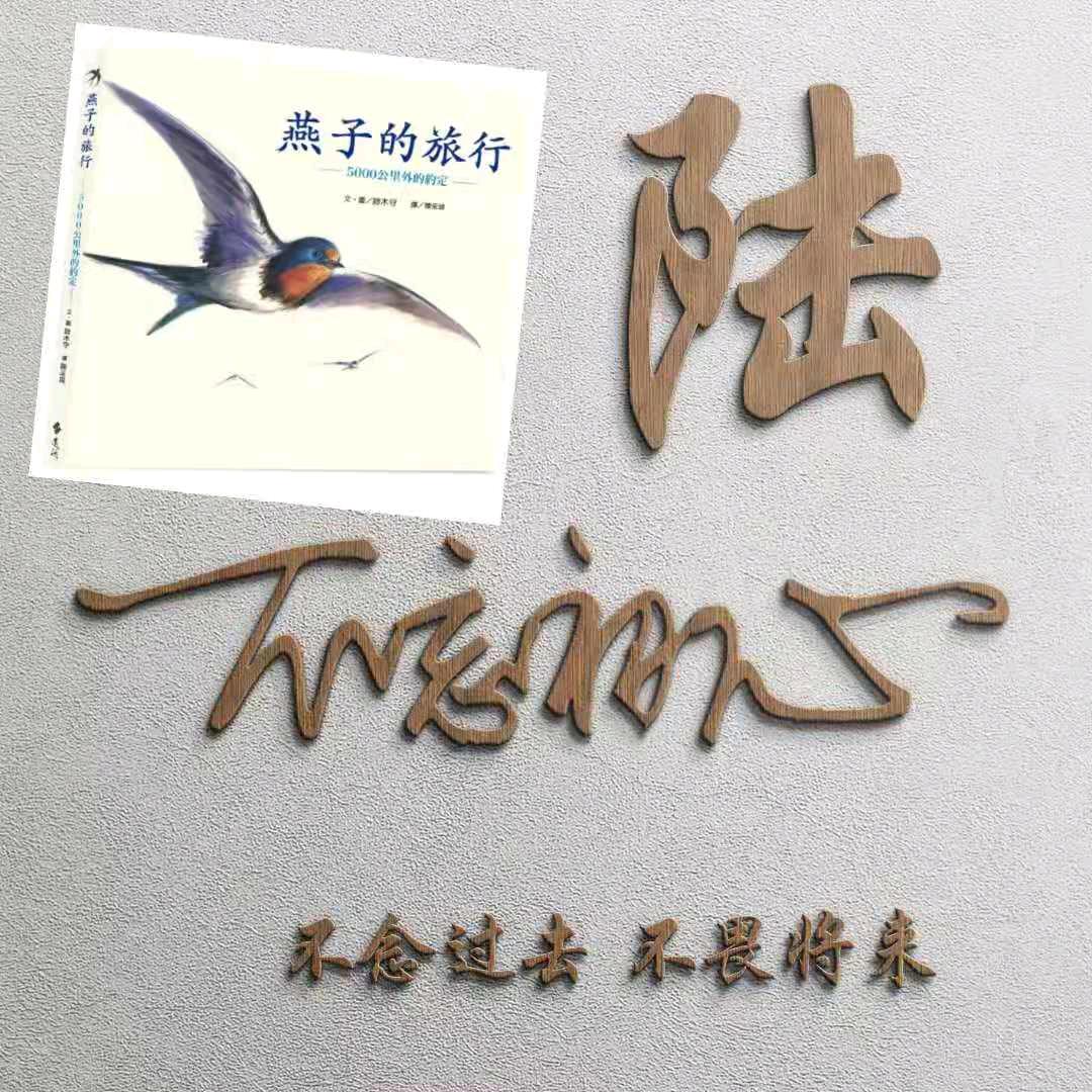 陆姐姐