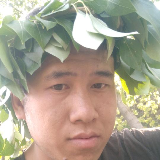 用户4997558325924