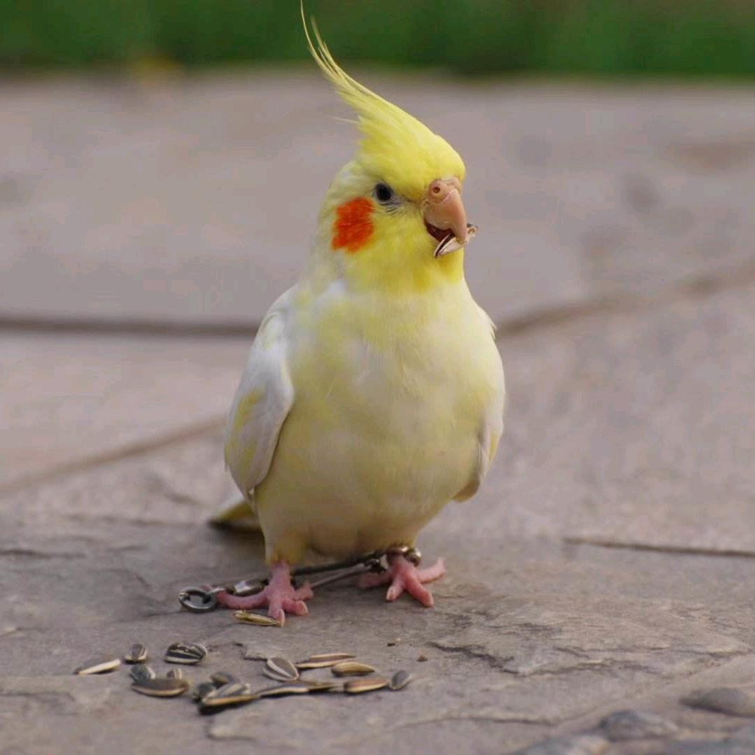 W。。。