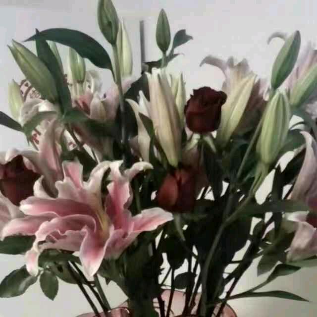 成成