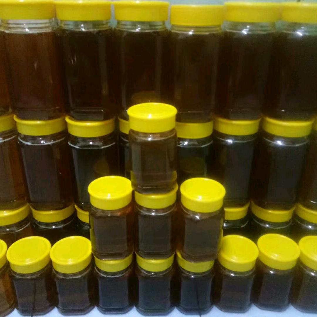龙飞凤舞