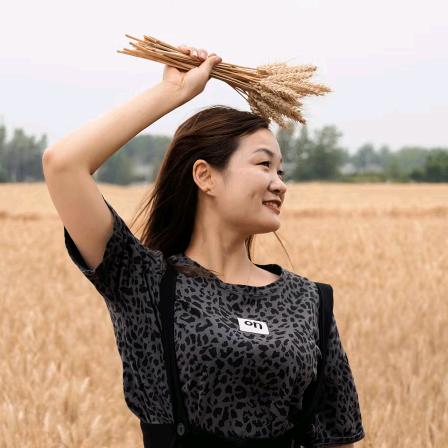 曦阳静谧