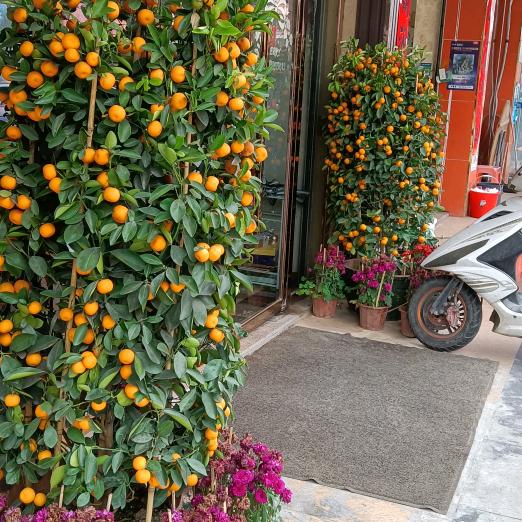 好人一生平安🎀