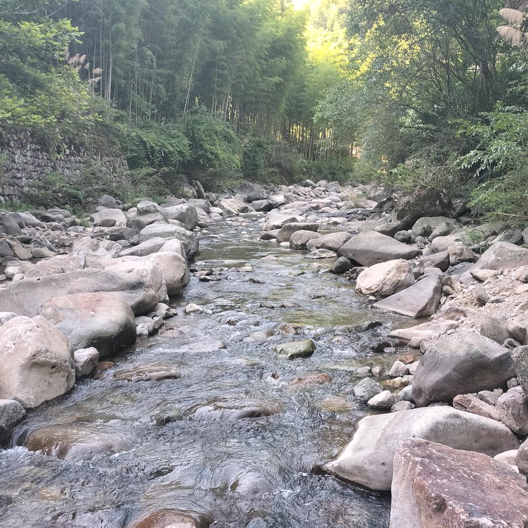 晋城微挖室内拆除拆墙打地（租赁）