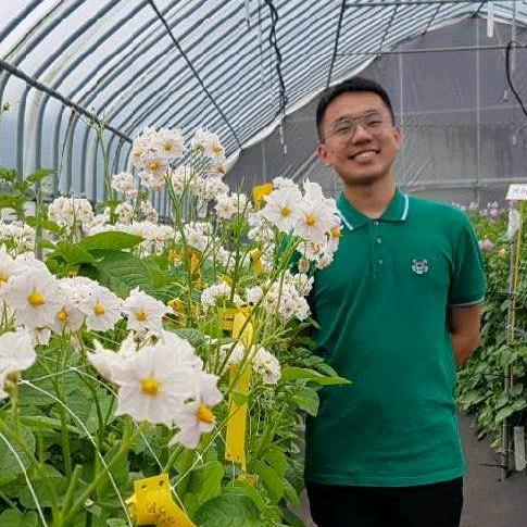 种大西洋的阿超