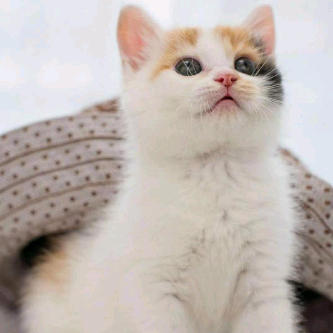 阳光总在风雨后