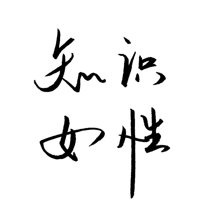 碎嘴许美达