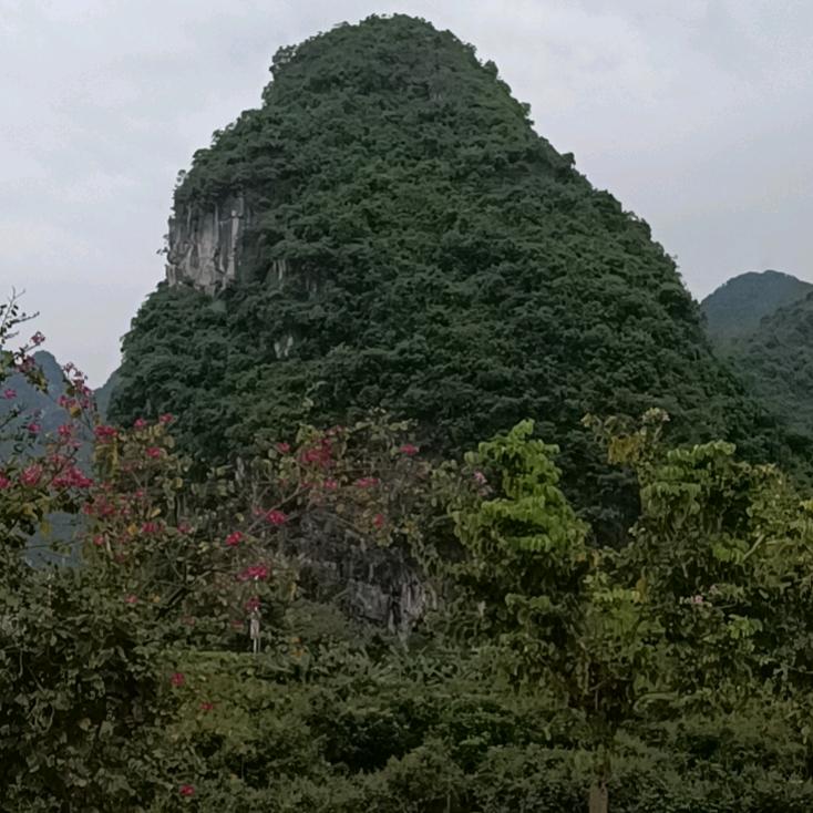 慕头