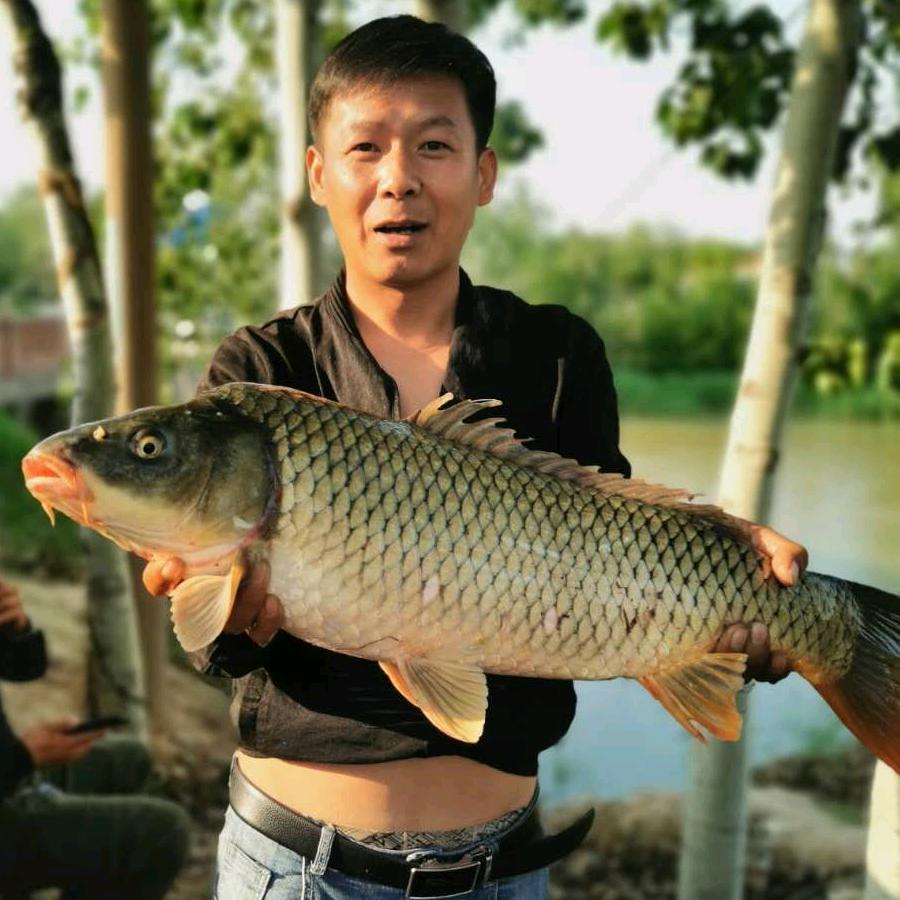 小坡教撒网（抓鱼直播）