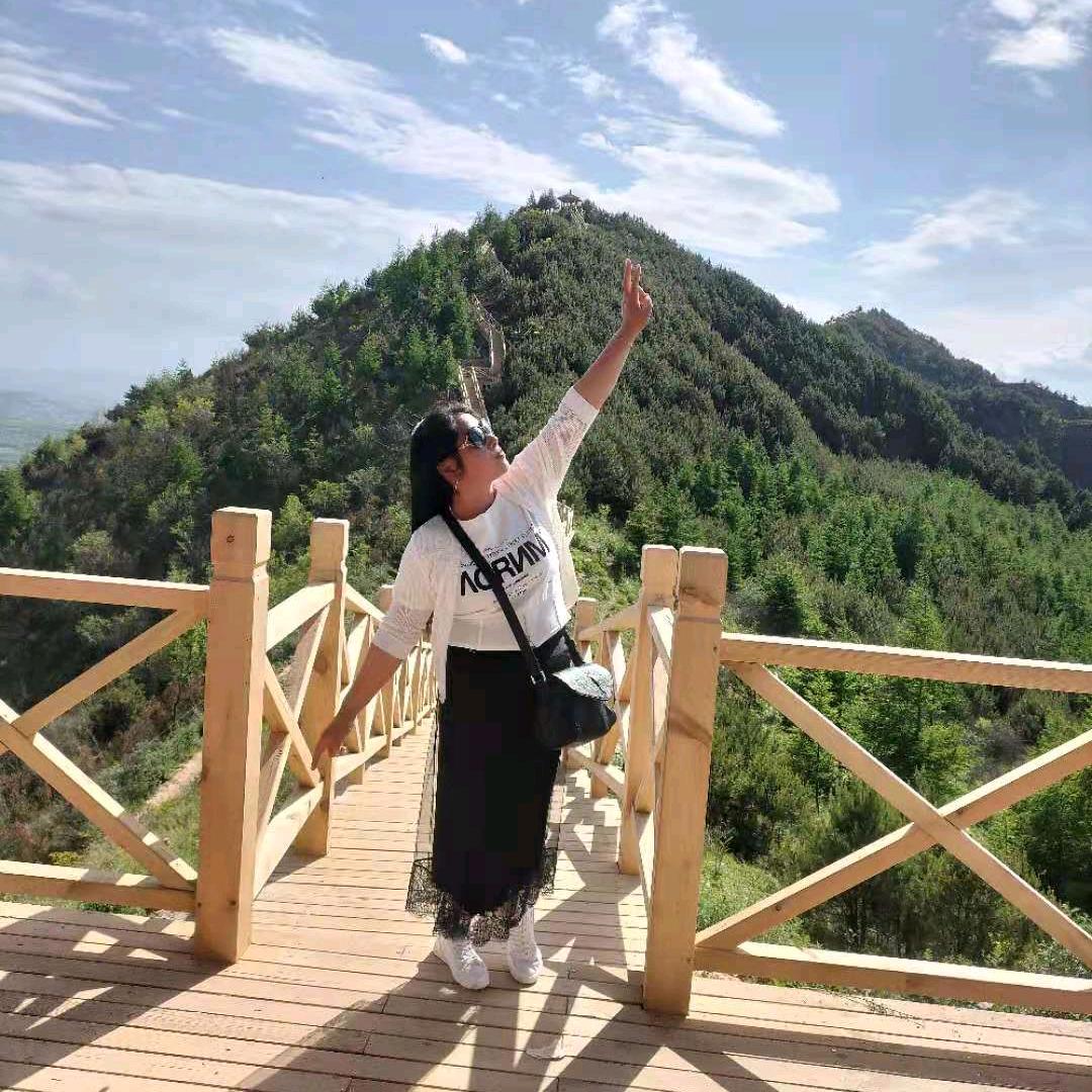 天空的燕子