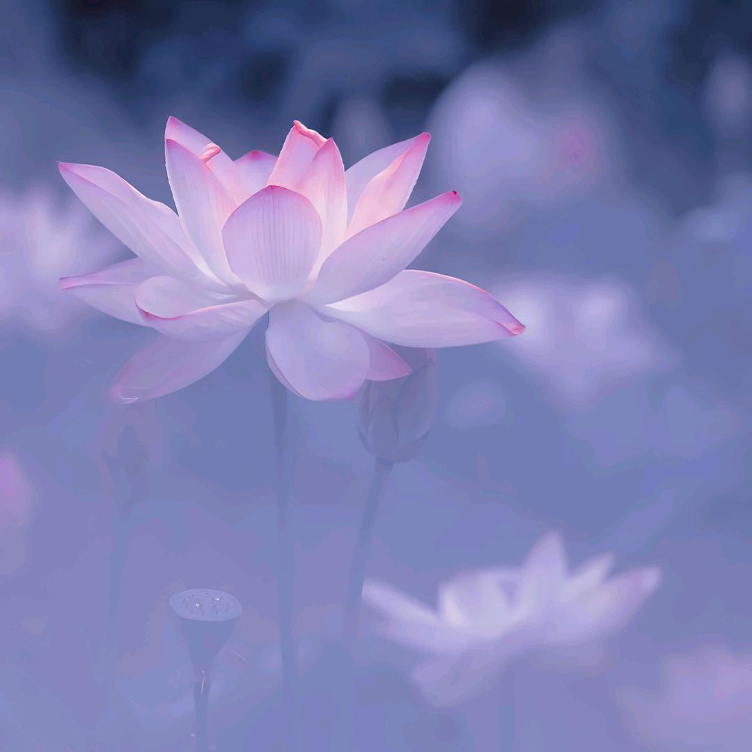 风铃的声音