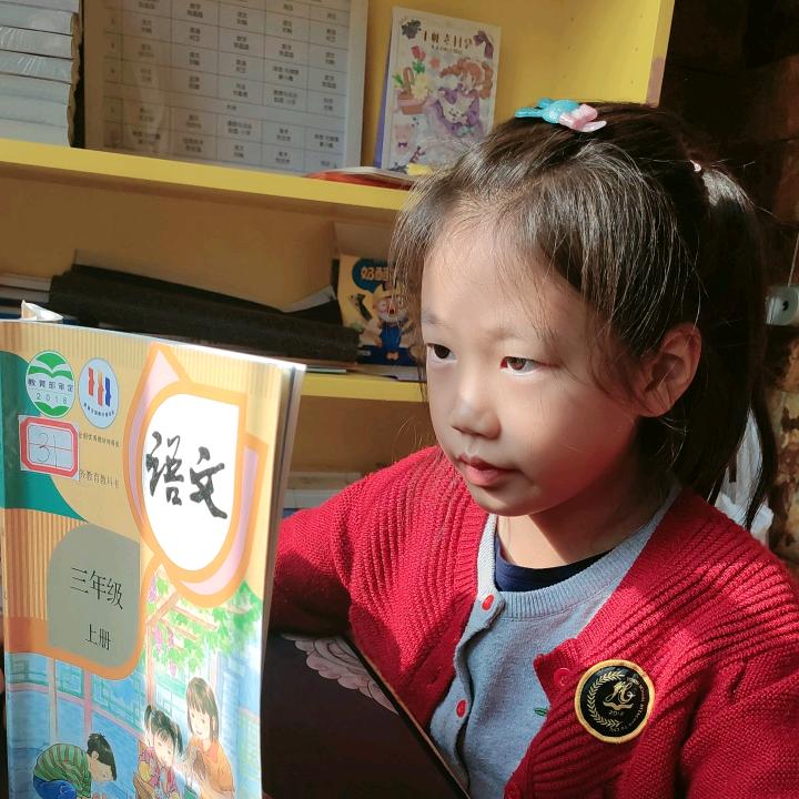 念羊