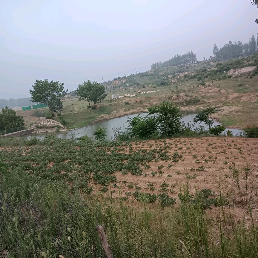 余生要爱自己