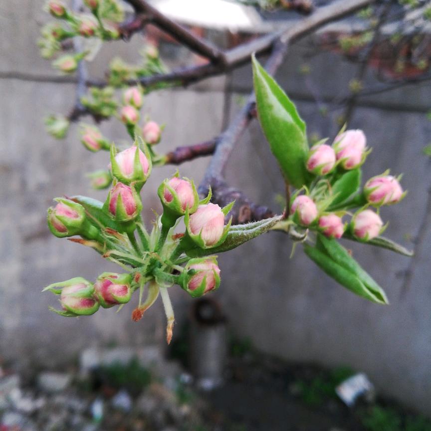 用户9525152031998和谐