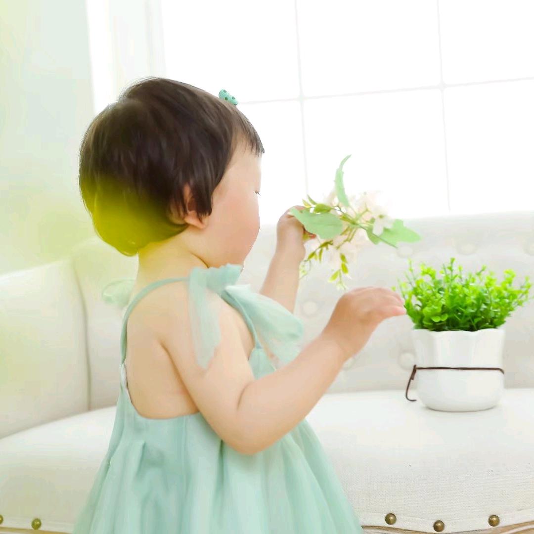 ꧁༺๑菲๑༻꧂