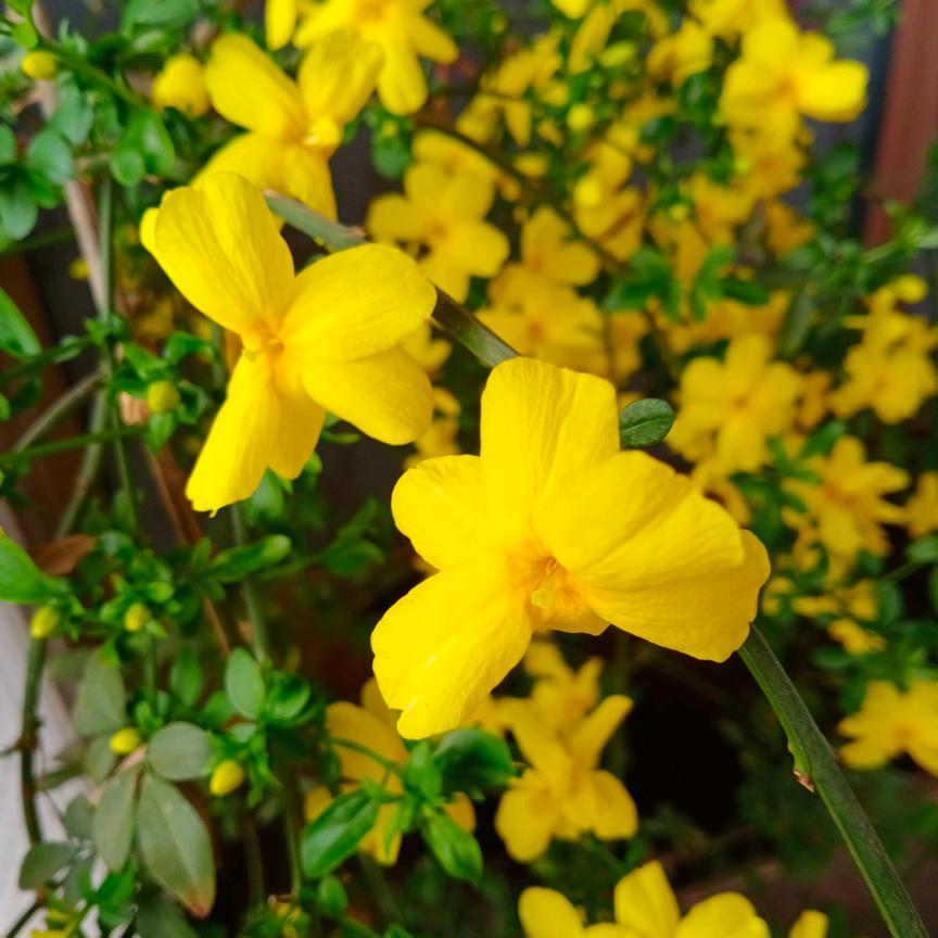 雨后彩虹🌈:！！！！！！！！！！！！！