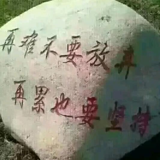 续写唯来