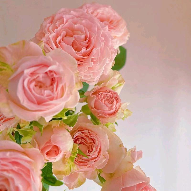 花🌸的世界🌸~拒绝私聊
