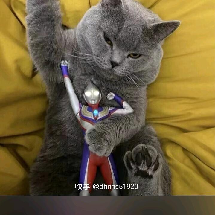 搞笑哥3(拒绝私聊)