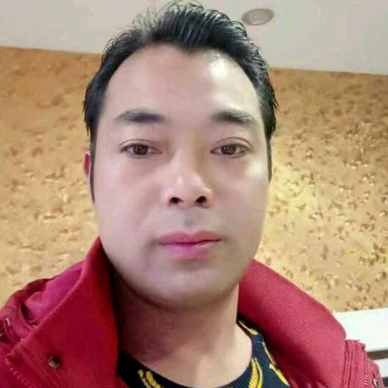 志强罗汉松园