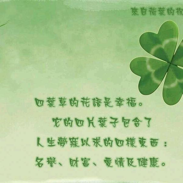 毛毛虫🐛