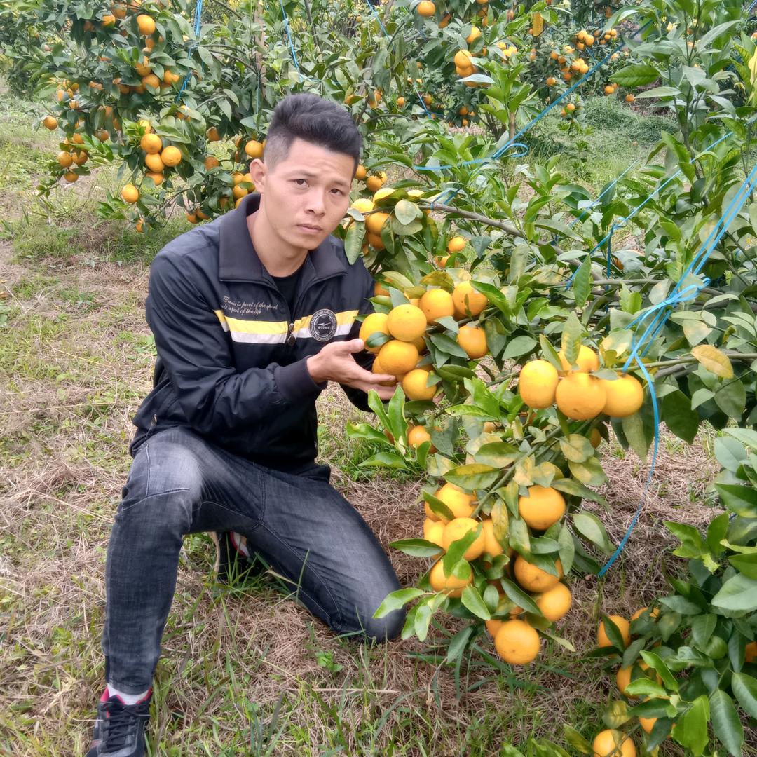 永晖果苗场
