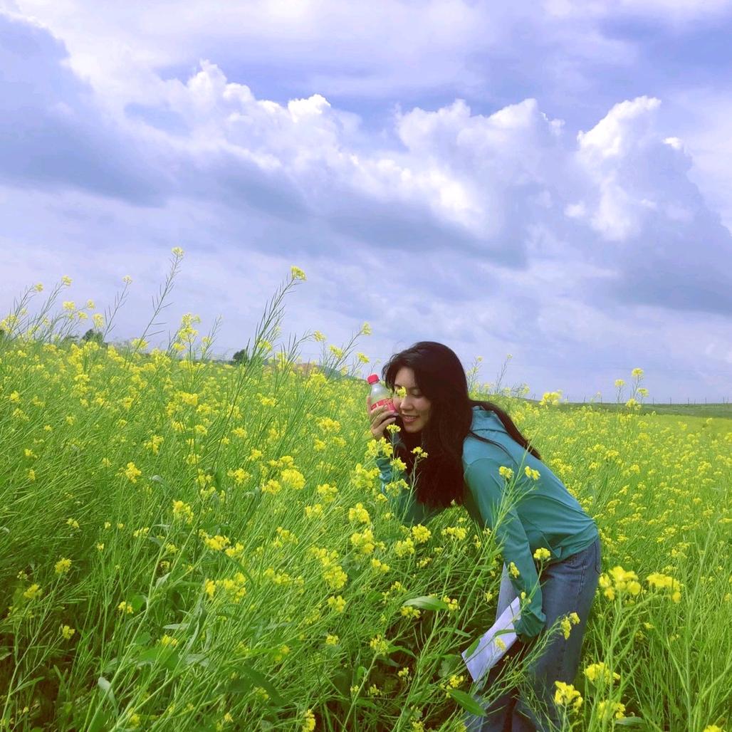 护栏网钢丝筛网厂家